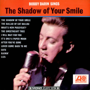 album cover sings the shadow of your smile